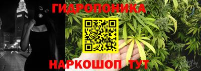 шишки Шахты