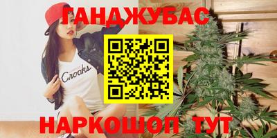 бошки Шелехов