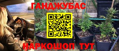 бошки Шелехов