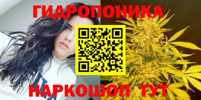 бошки Шелехов