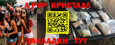 бошки Шелехов