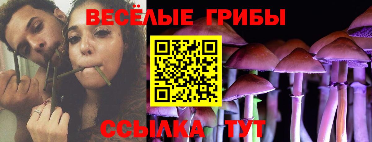 Псилоцибиновые грибы прущие грибы  Вход с VPN  Вичуга 